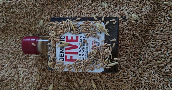 Két új magyar gabonawhiskey a Gemenc Distillerytől – Gemenc FIVE és Gemenc SOL